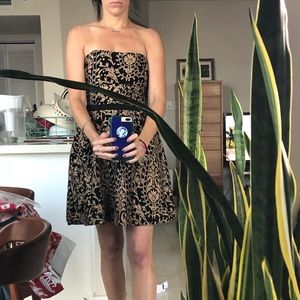 NWT Joie cocktail dress size 6